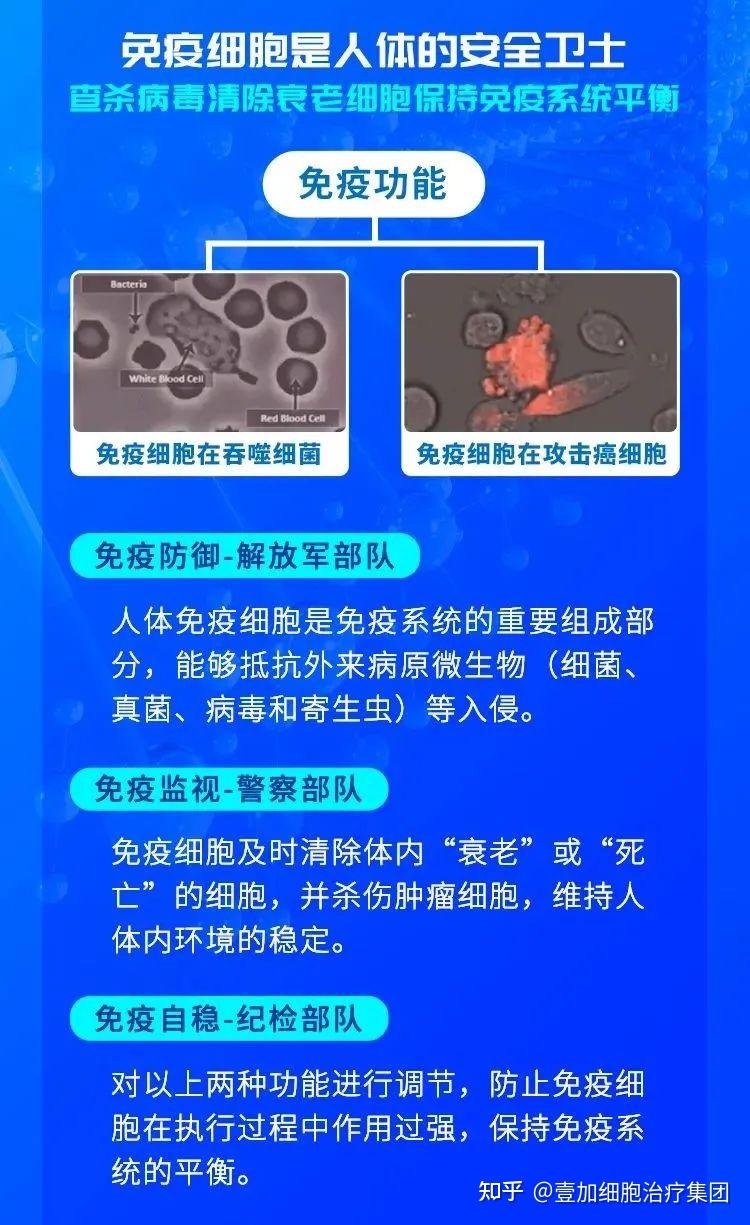 集体免疫最新论述，观点阐述与解析深度探讨集体免疫现象