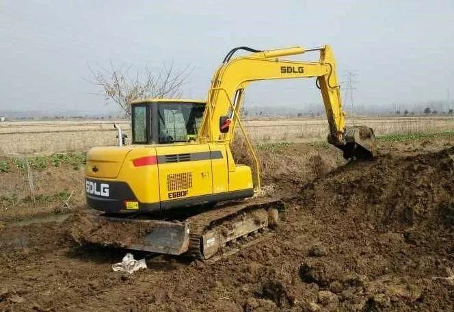 钟情最新图片探索,背景、影响力与时代地位