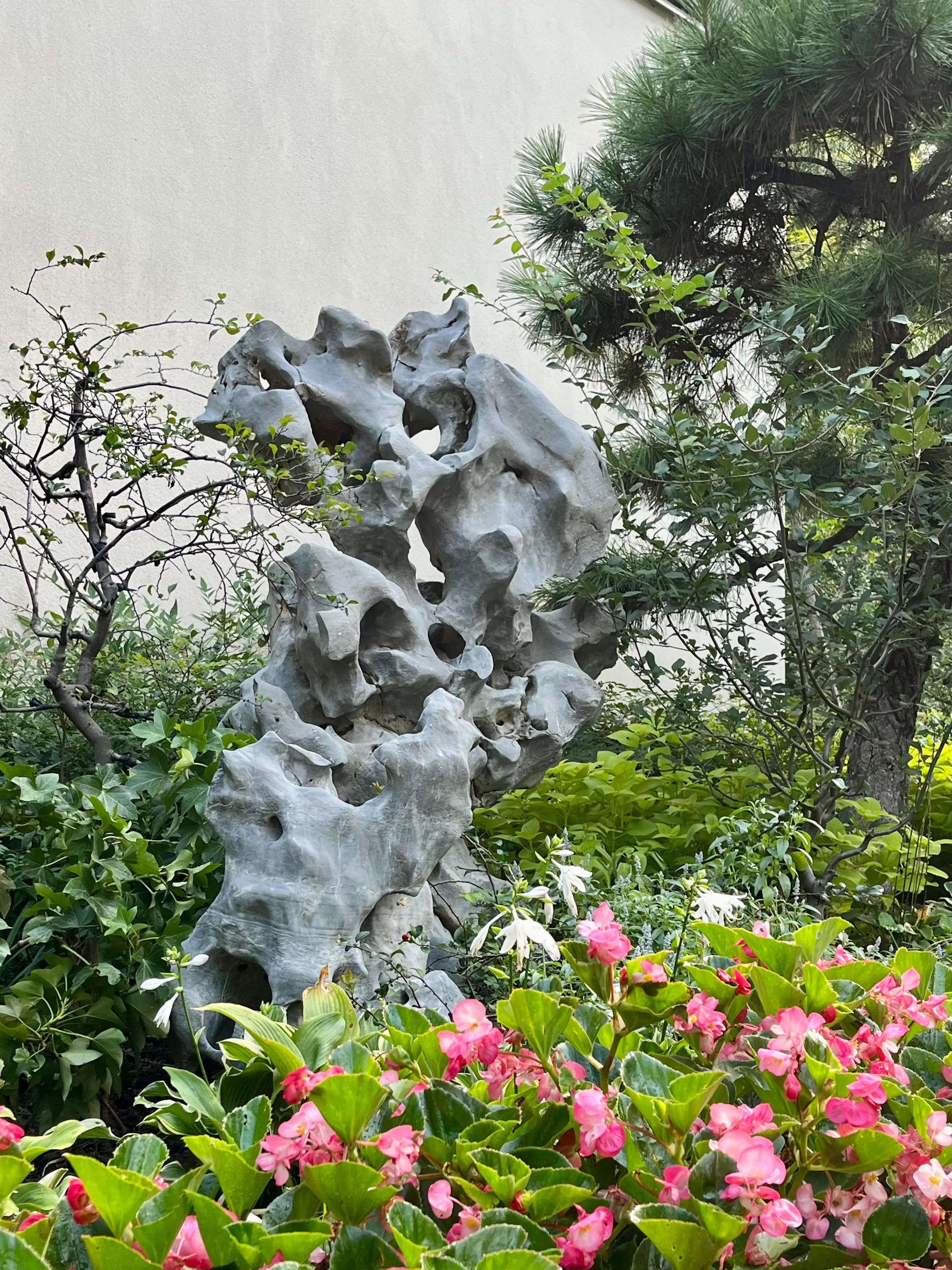 青岛最新大雨及其影响与观点分析
