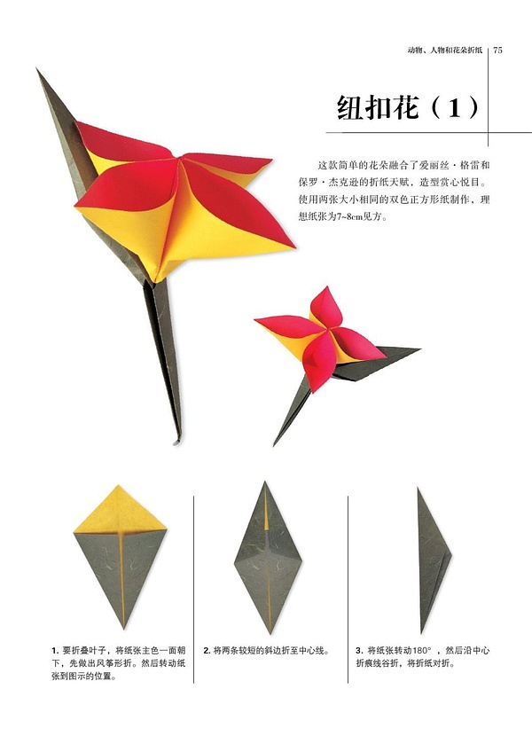 最新折纸花，时尚手工艺术的魅力之旅探索