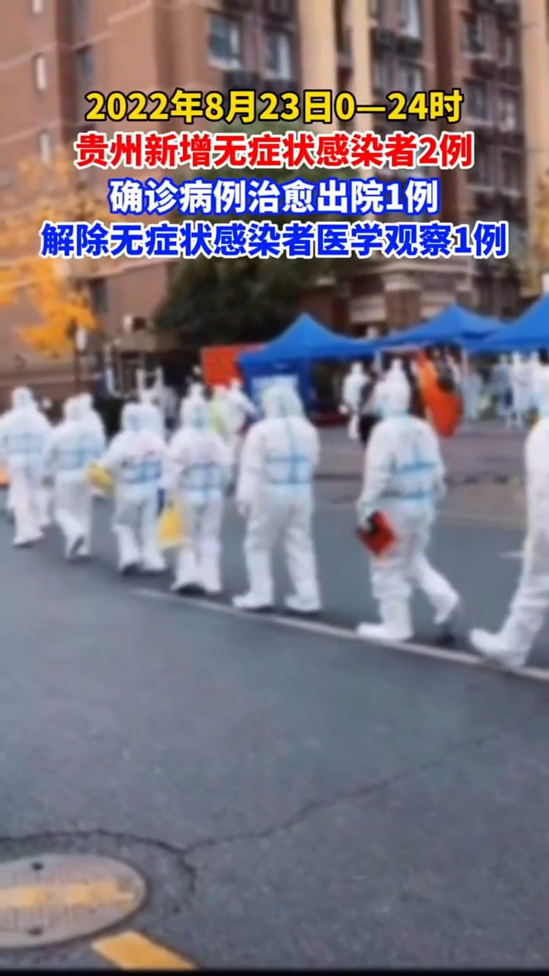 近期疫情最新动态下的自然微笑与平静之旅