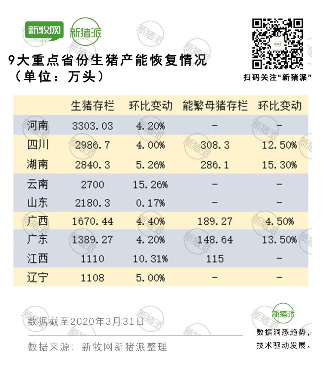 最新猪产能行业现状与趋势分析,行业产能现状及未来展望