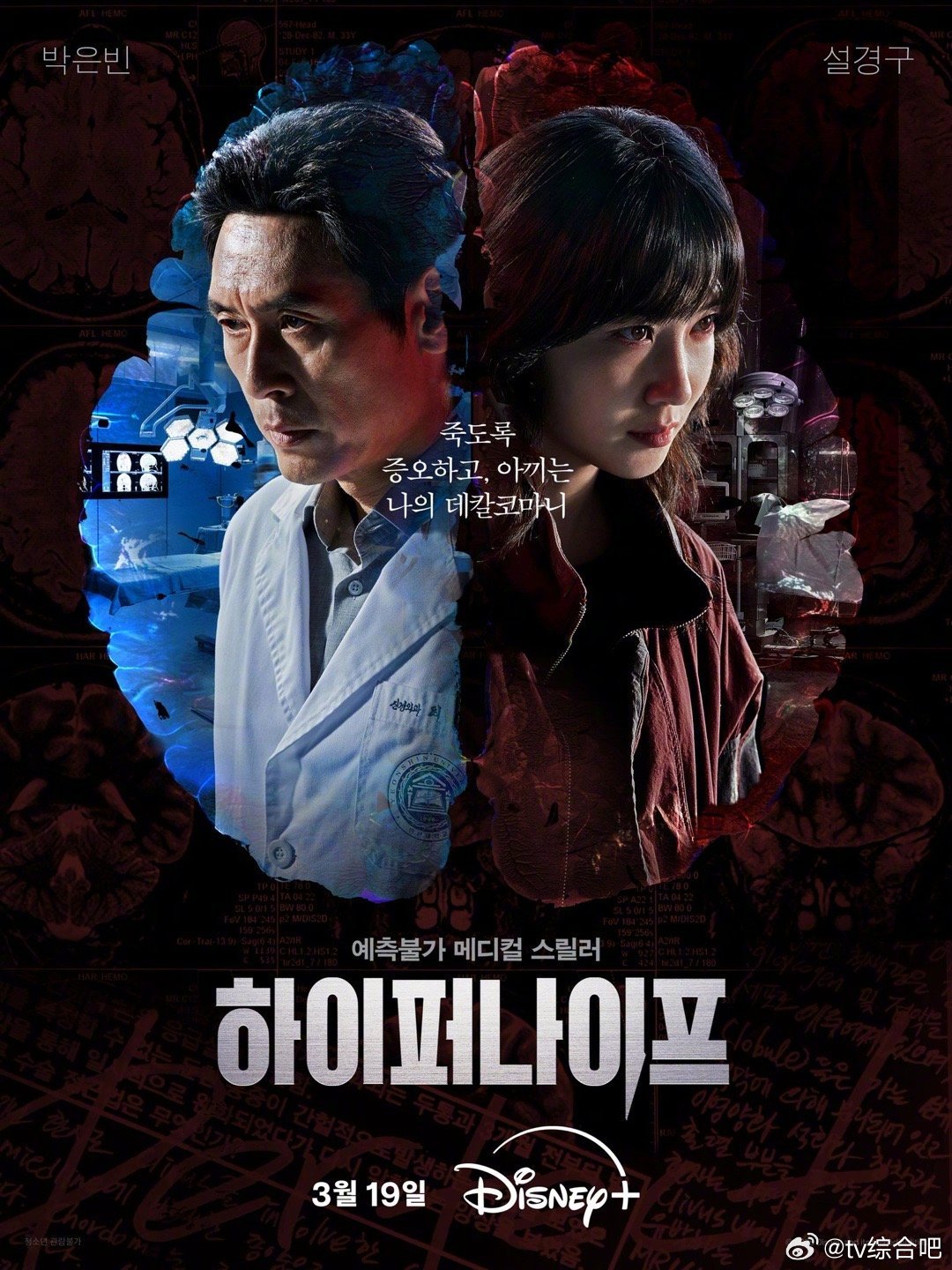 最新韩剧AI,与自然美景共舞,探寻内心的平和浪漫之旅