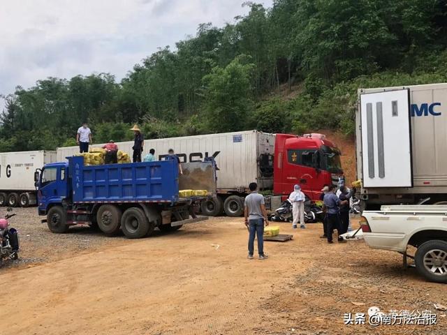 最新国外疫区概况概述