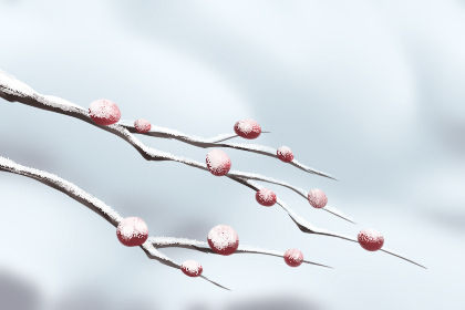 最新修坟,砖瓦间的温情与记忆