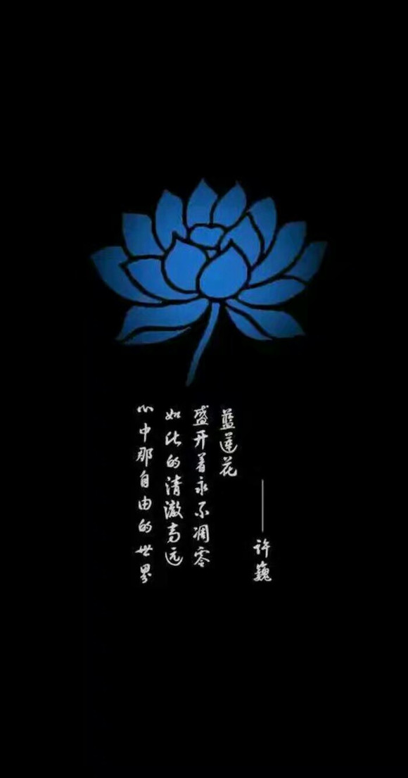 蓝莲花深度解析，背景、重要事件与地位揭秘