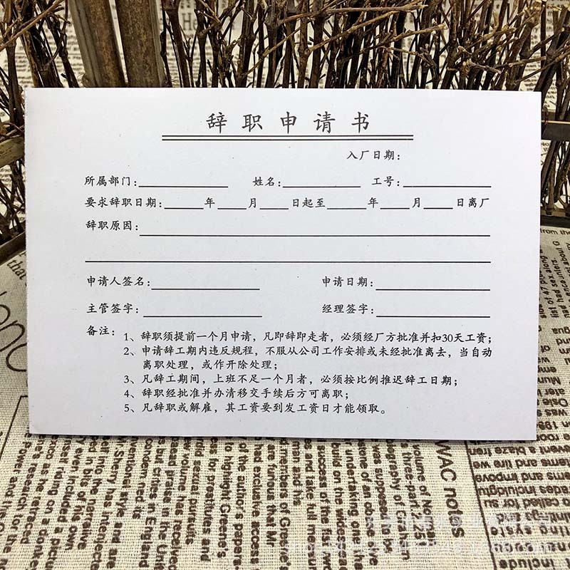 最新辞工书,一段温馨有趣的日常故事之旅