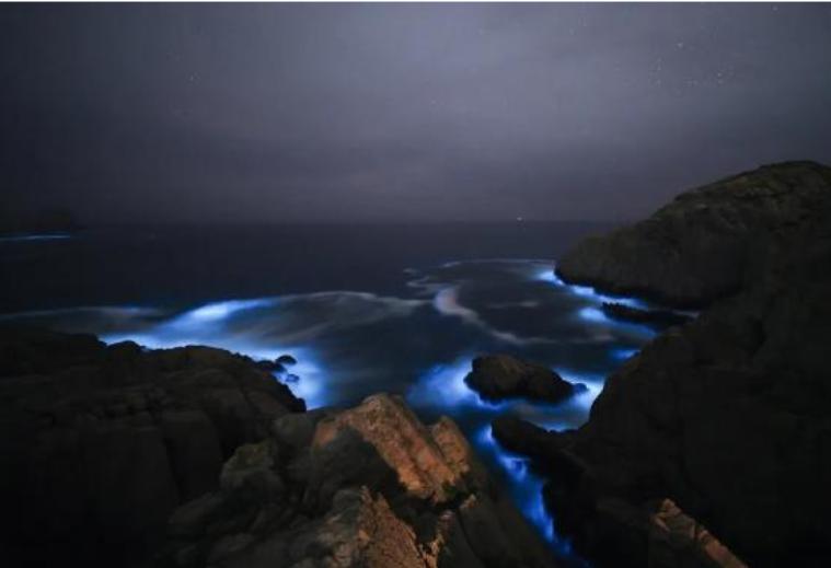 最新蓝眼泪,学习、变化与自信的奇妙探索之旅