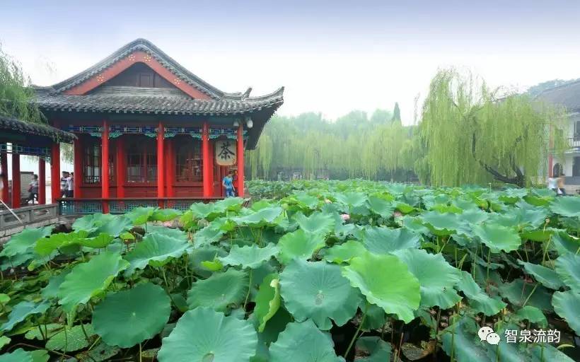 散文最新晚钟，背景、发展与时代地位的深度解读