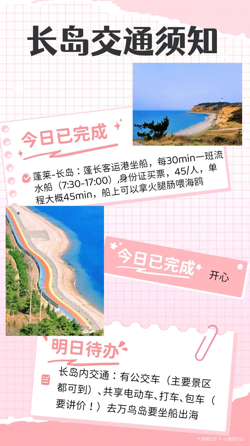 长岛最新疫情观察与分析报告