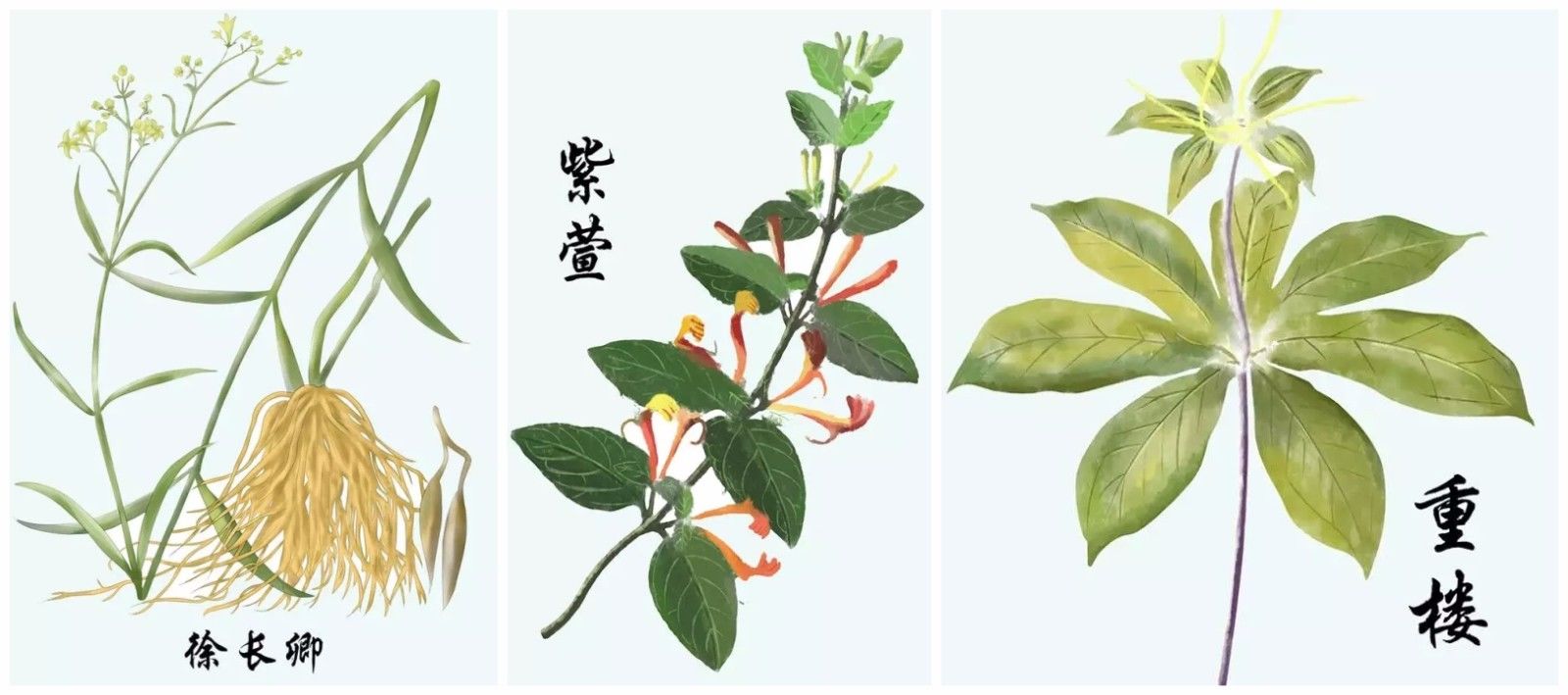 徐长卿最新价，科技引领未来智能生活新体验