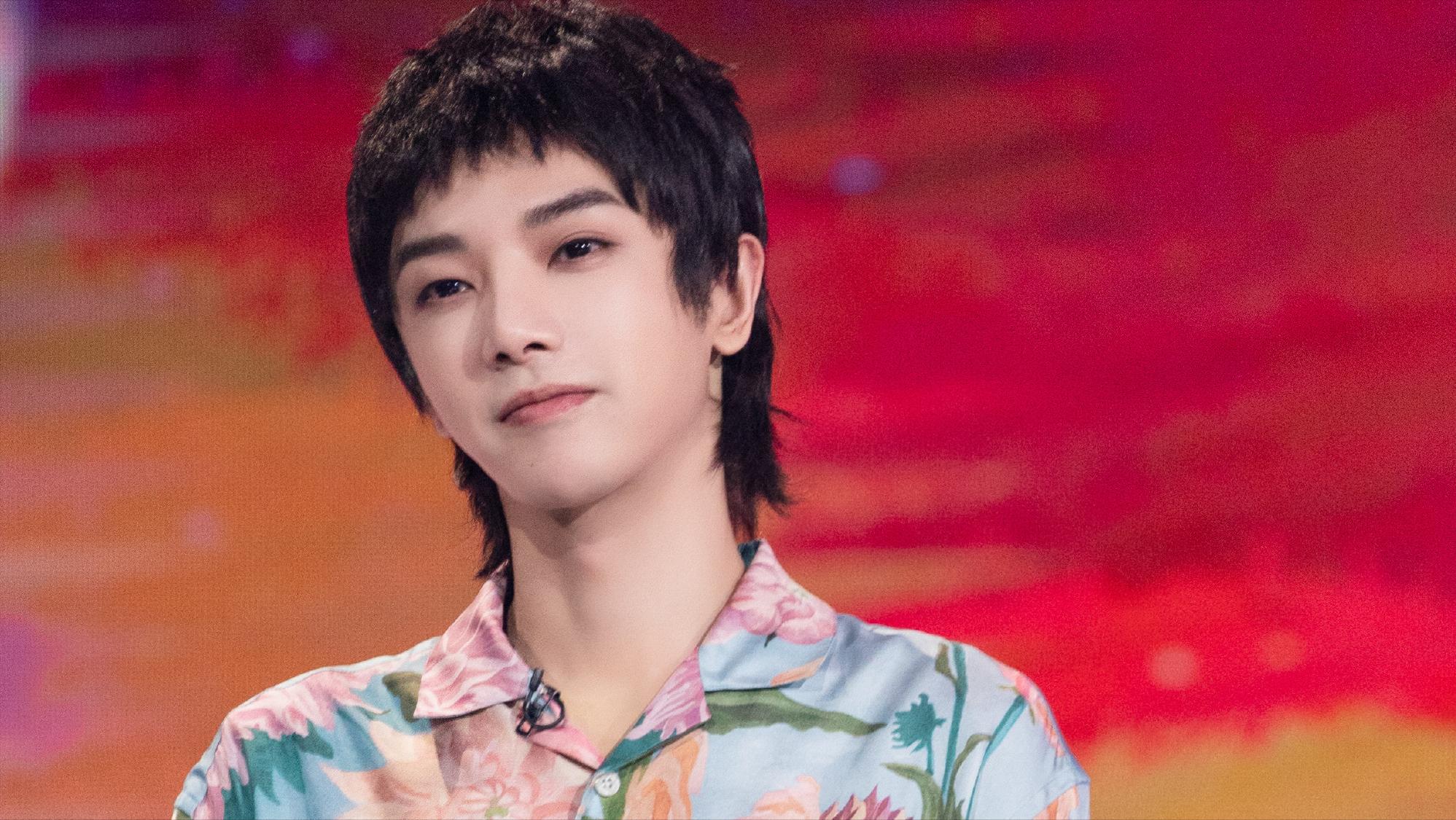 芒果最新节目,自然探索之旅,寻找内心的治愈与平和