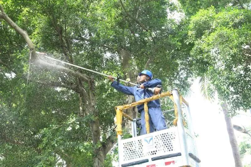 木恩最新,自然美景的轻松探索之旅