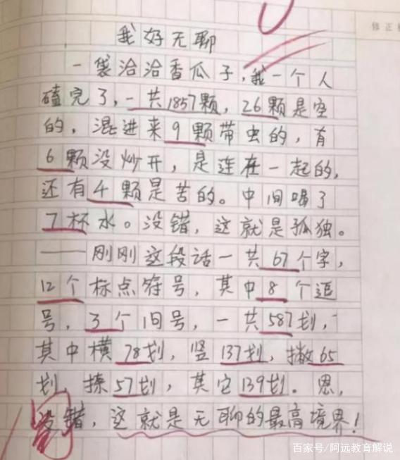 挨打文最新，小巷深处的独特风味揭秘
