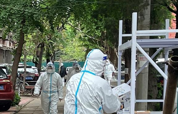 今日疫情最新观点分析，深度论述疫情现状与趋势