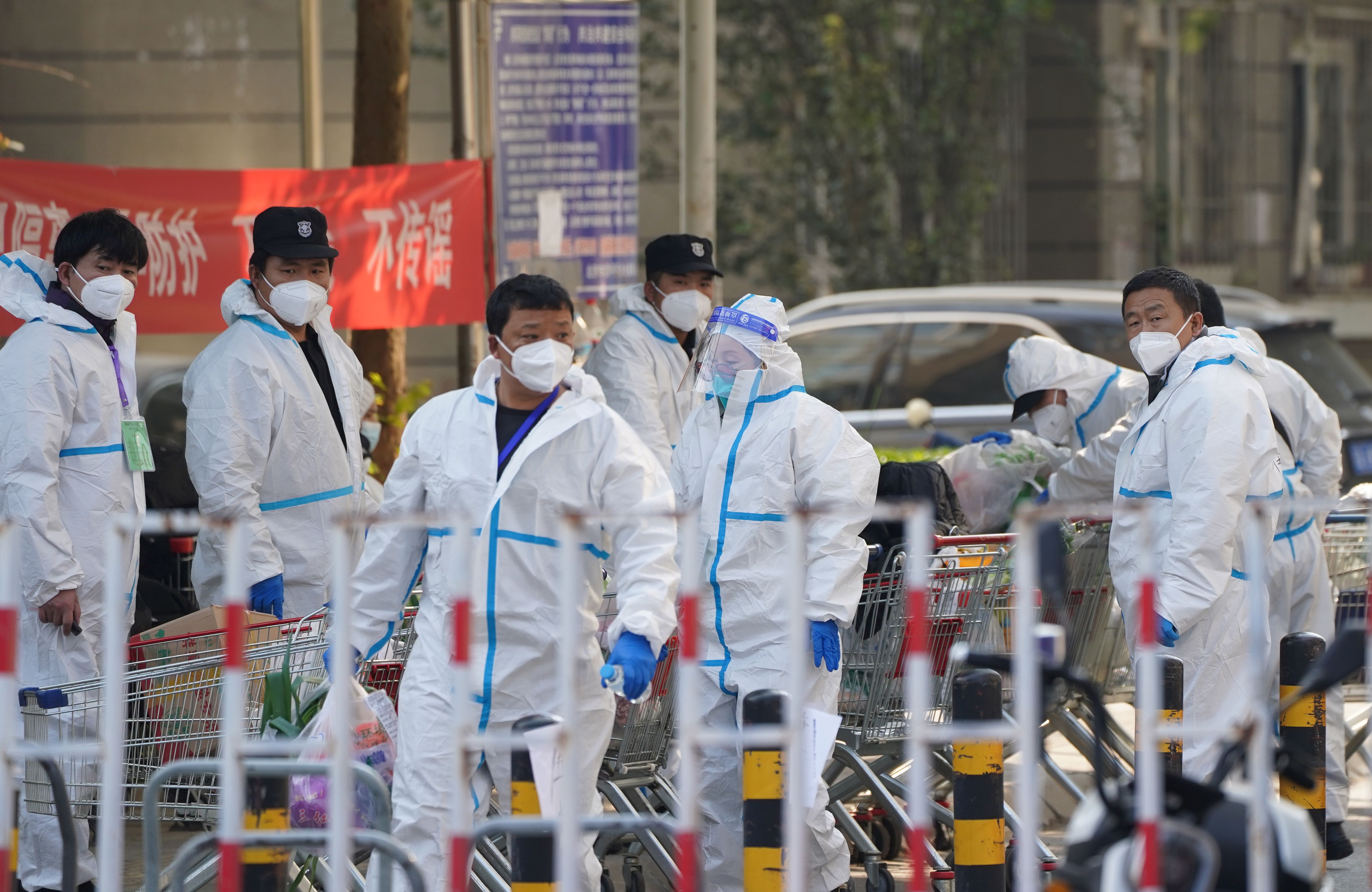 疫情组最新论述综述，最新动态与深度解析