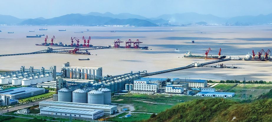 最新舟山闲聊,城市发展观点碰撞与个人立场探讨