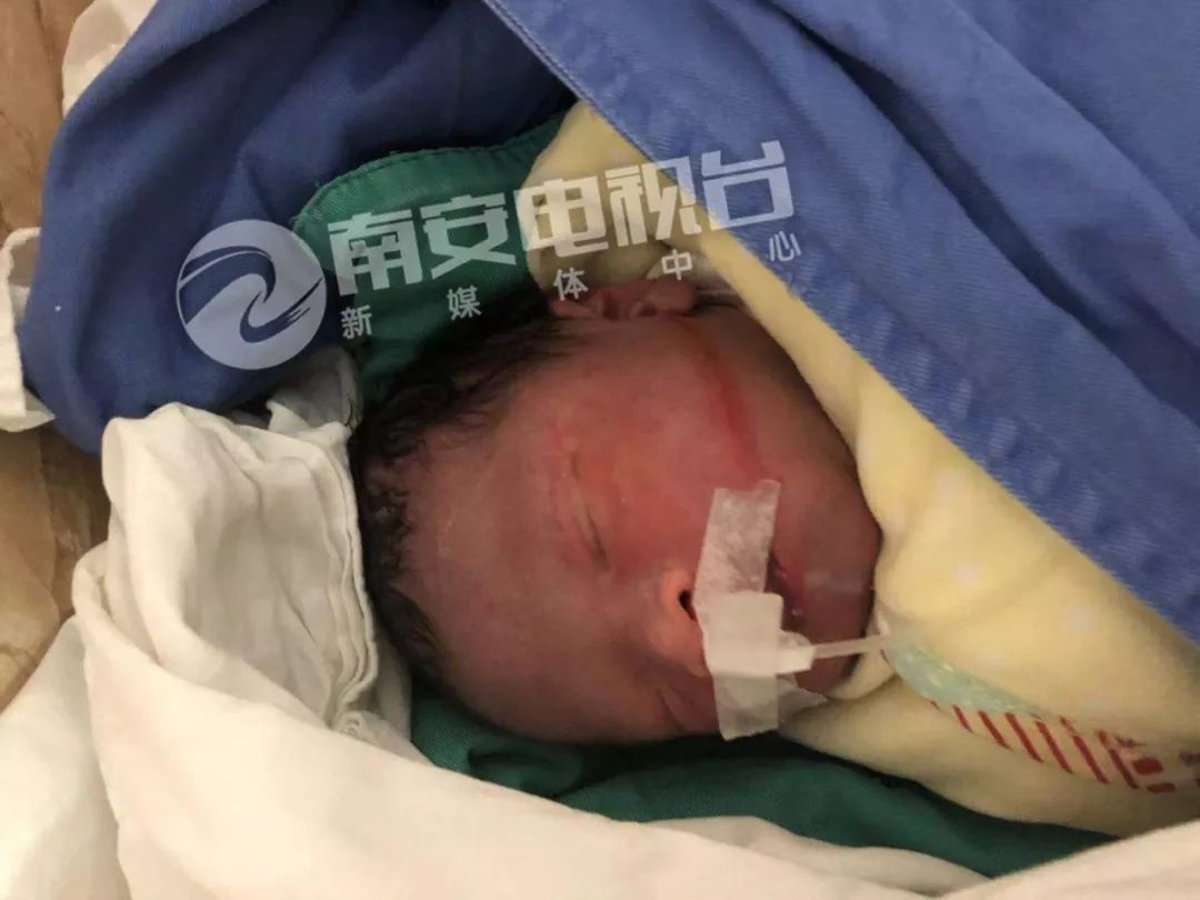 最新疫情动态图表分享,疫情数据图展示及分析