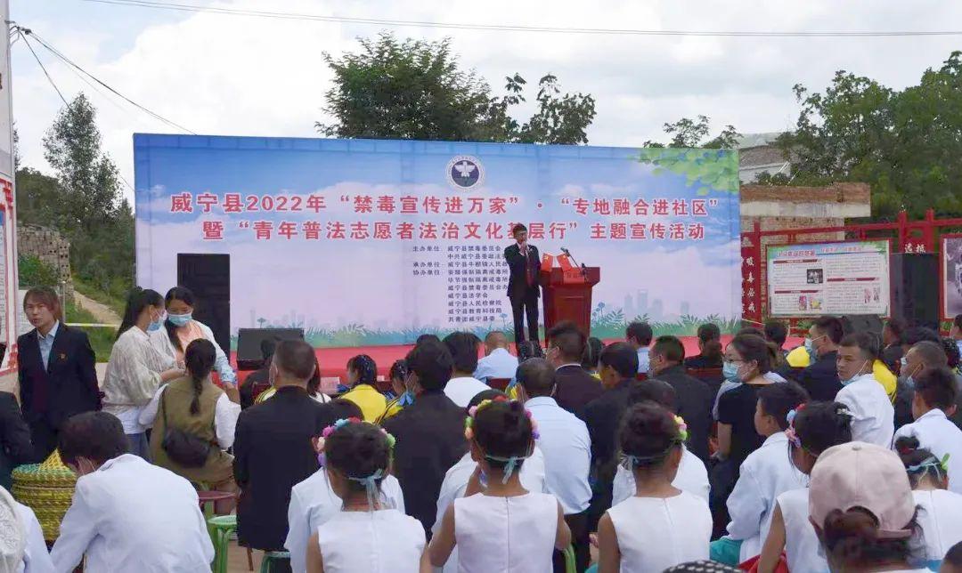 历史与现实交织的战争案例深度解析,启示与反思