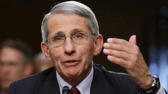 美国新冠状肺炎最新动态,分析与观点阐述