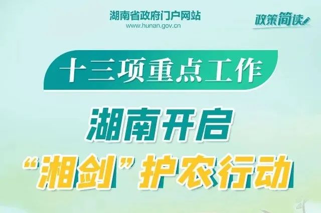 礼嘉最新招聘，引领时代脉搏与行业翘楚的人才招募启事