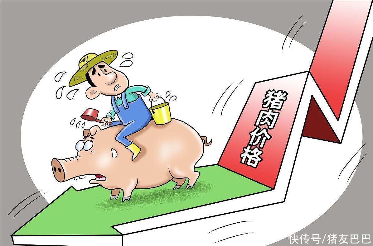 今日猪价与寻找内心平静的自然美景之旅