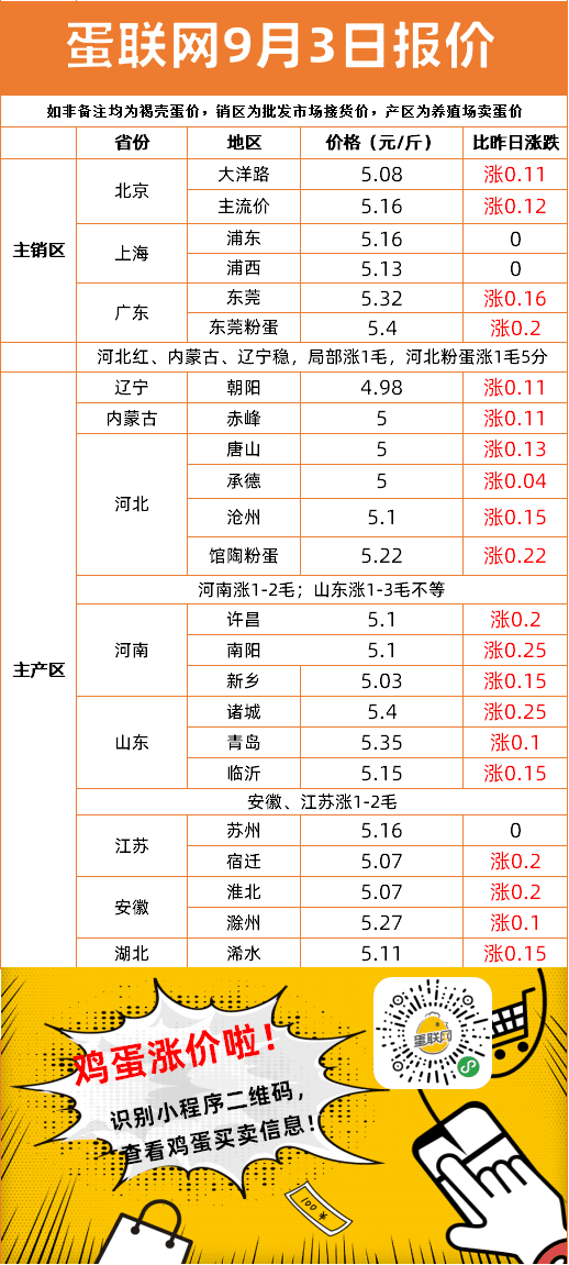 最新鸡蛋价格行情及购买指南，今日价详解与步骤指引