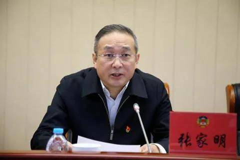 卢映川最新简历曝光