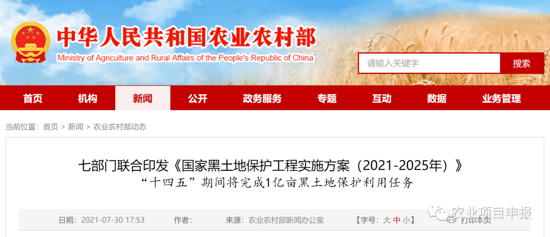 独特小店揭秘,非洲猪瘟疫情背后的小巷故事