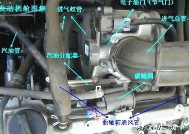 最新汽车检测公布，与自然美景的旅行邂逅体验