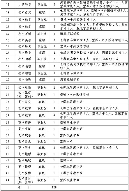 袁鹏然最新职务揭秘，技能进阶指南与全面了解掌握之路