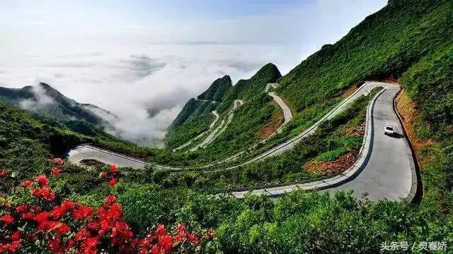 重庆司机招聘最新信息,科技驱动,驾驭未来之路