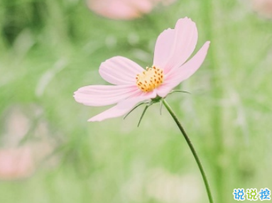 抖音最新说说,城市生活的温馨日常