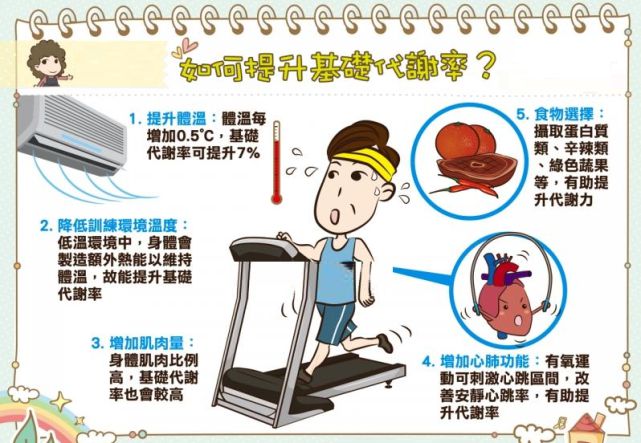 最新基础代谢公式揭秘，掌握它，迈向健康生活的一步！