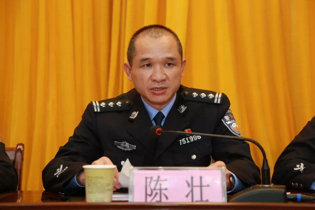 陈壮最新章程,引领未来的行动指南总览