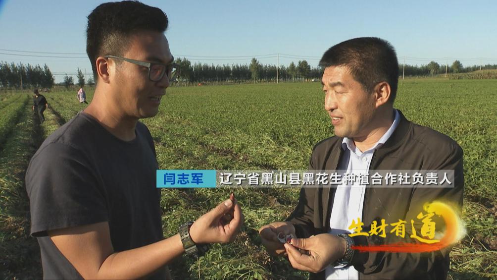 辽宁鸡蛋最新价格，一场探寻内心平静的鸡蛋之旅