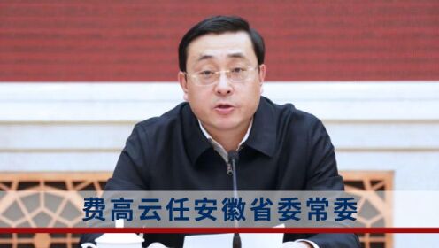 费高云最新任职与探索自然美景及内心平静之旅