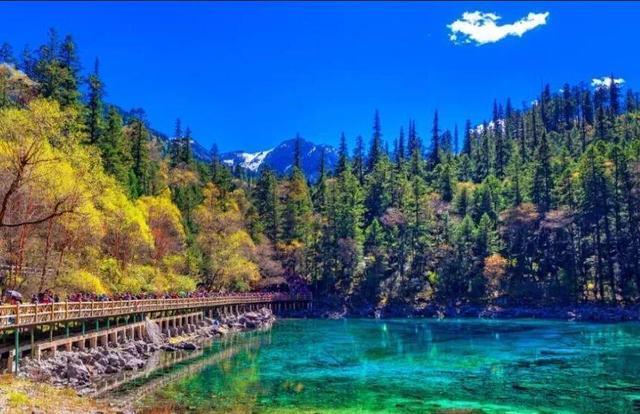 时代背景下的四川阿坝，辉煌篇章新探
