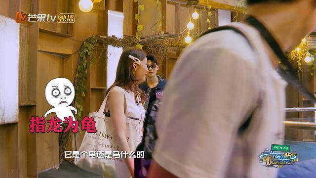 揭秘最新十大污染现象，背景、事件与影响全解析