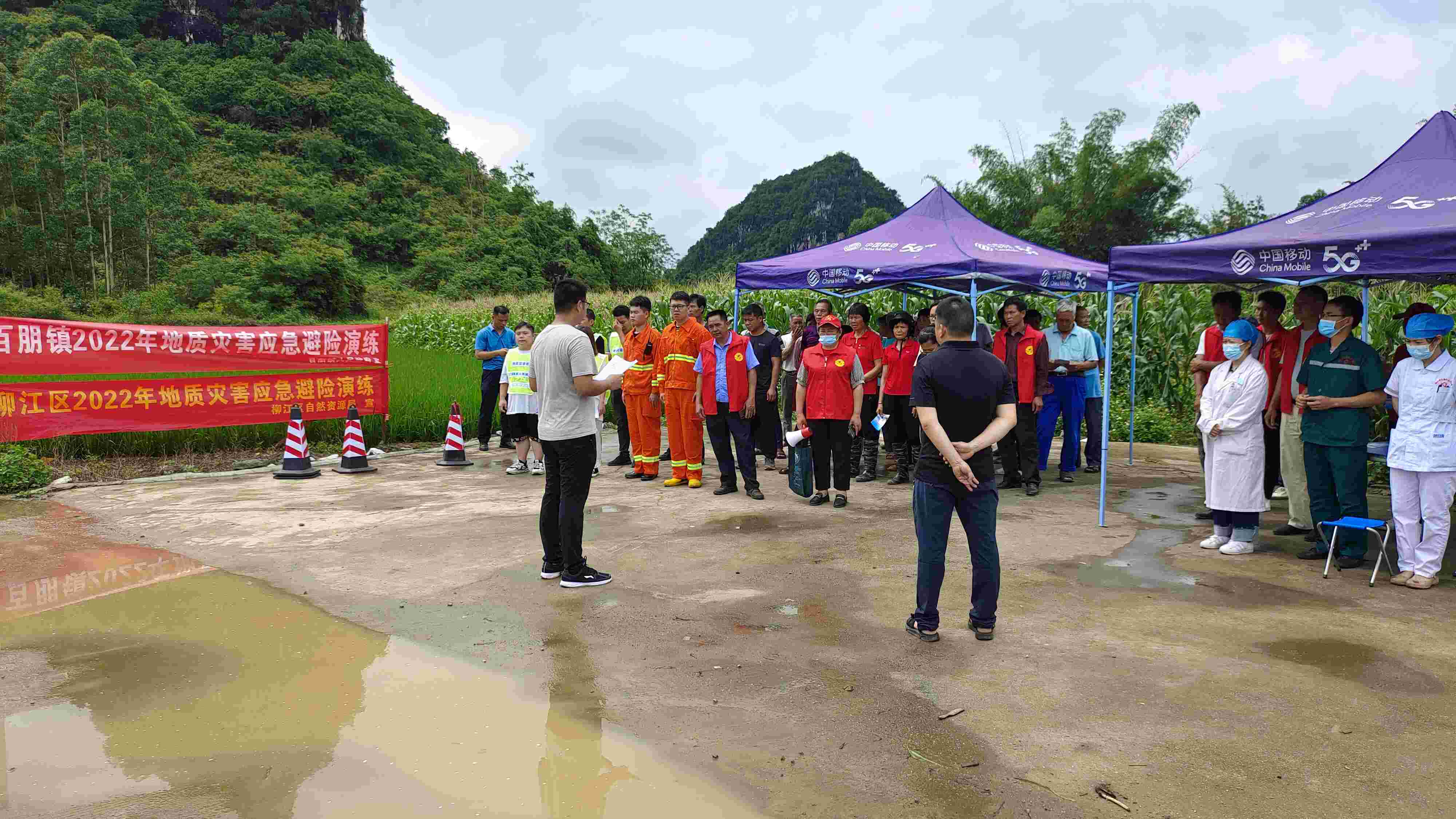 百朋镇最新新闻聚焦，探寻真相，表达观点