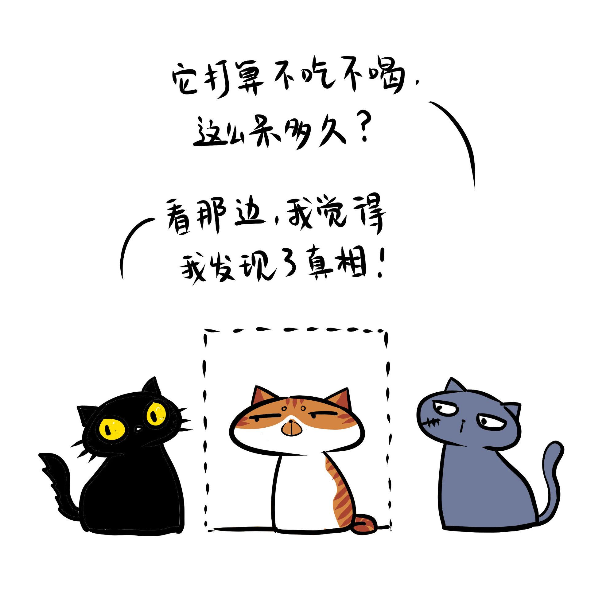 喵来啦最新版，猫咪乐园与铲屎官的福音！