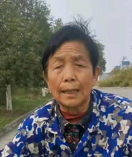 老河口女童失踪事件最新进展与影响分析揭秘,关注背后的故事与启示