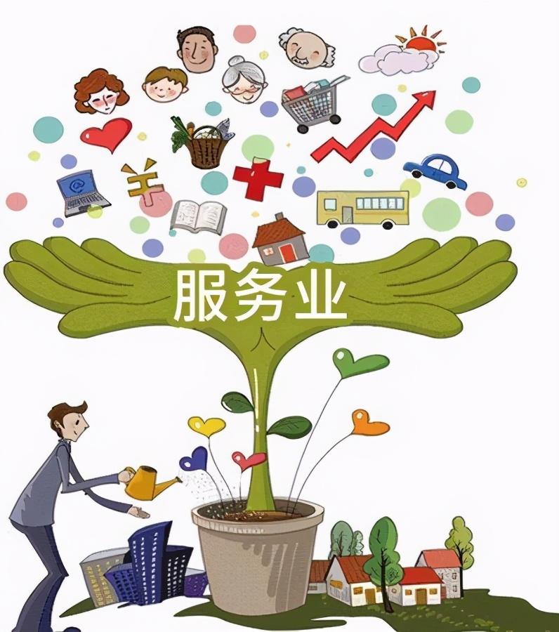 最新医药公司注册全方位解读与某某观点探析，从入门到精通的指南