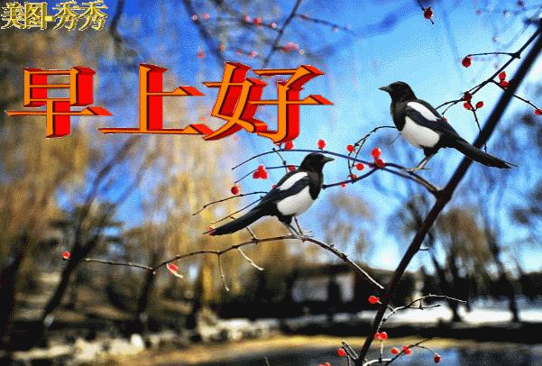 经典语录最新集锦，高科技产品的革新之旅