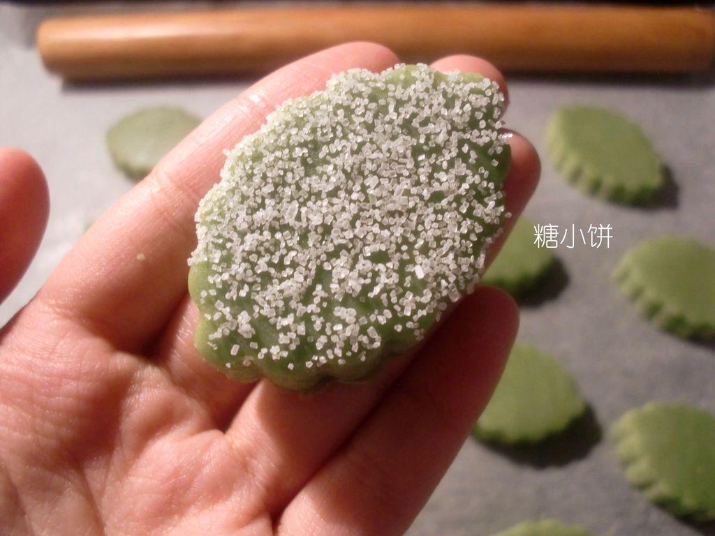 步宝最新版，用户体验与功能革新的深度探讨