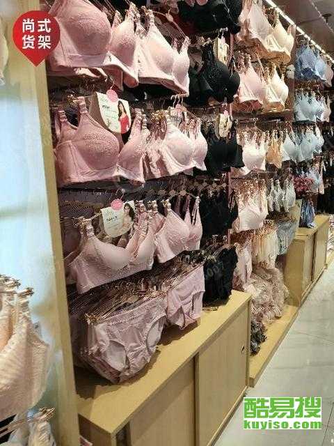 最新款女装架子,时尚与温馨日常趣事完美结合