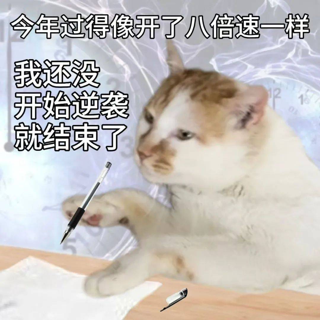 2025搞笑表情包，发展与影响深度解析