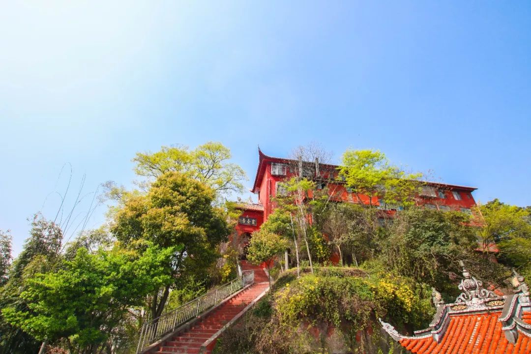 宜宾周边游最新热门景点推荐探秘