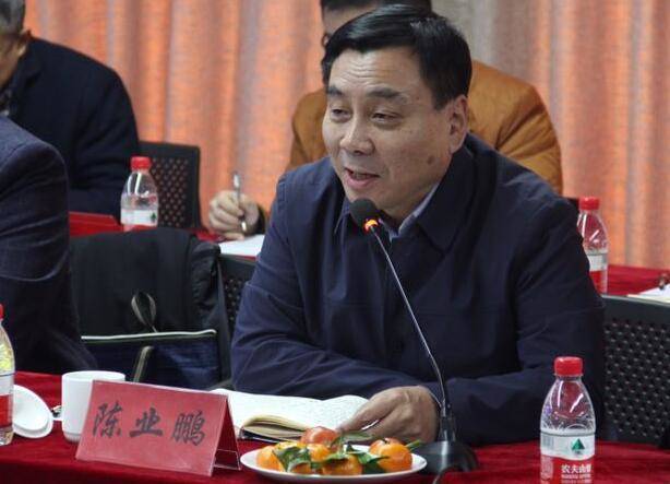 陈业鹏上任,开启未来发展的新篇章