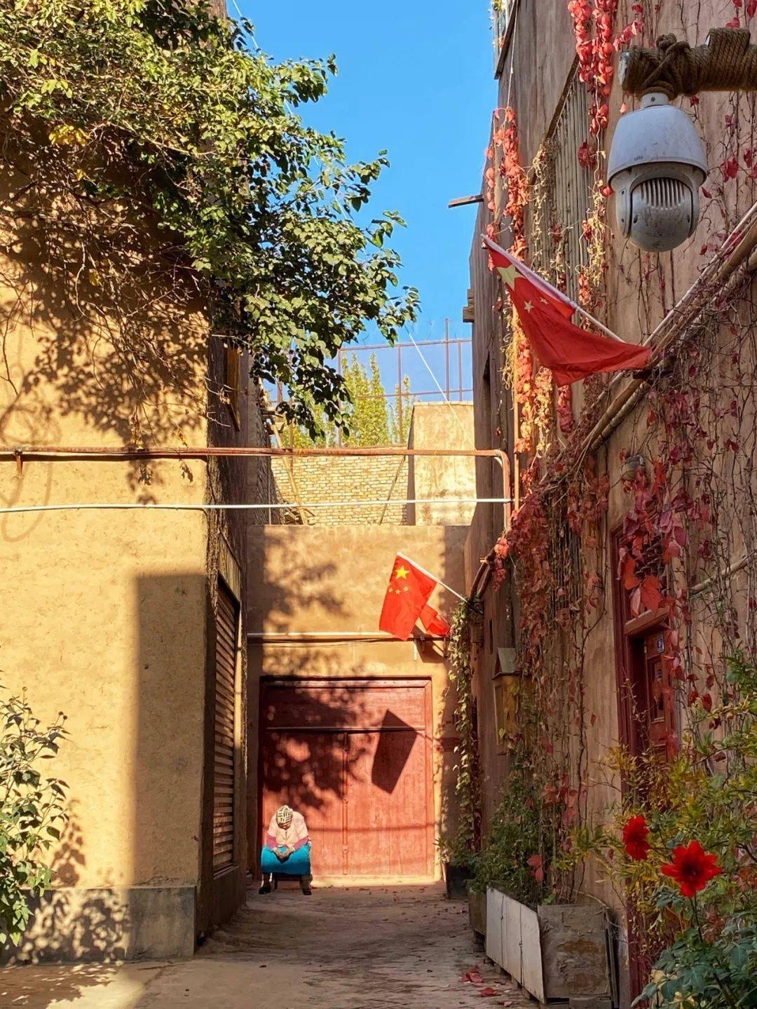 喀什疫情最新动态与寻找内心平静的绿色之旅(XX月XX日更新)